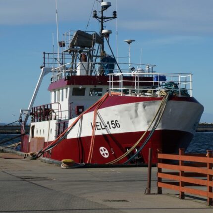 A fishing vessel moored at a sunny harbor, showcasing nautical ropes and a clear blue sky.