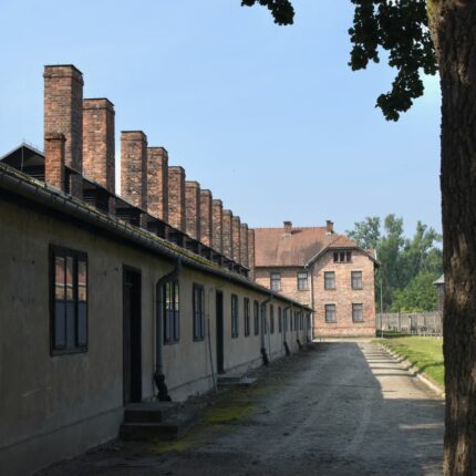 A poignant view of Auschwitz concentration camp structures, capturing historical significance.