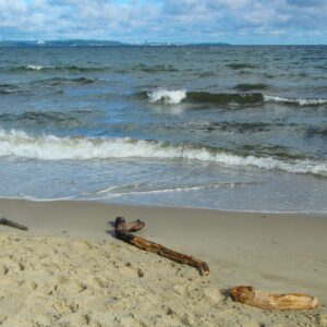 Relaxing beach scene with gentle waves and scattered driftwood under a partly cloudy sky.