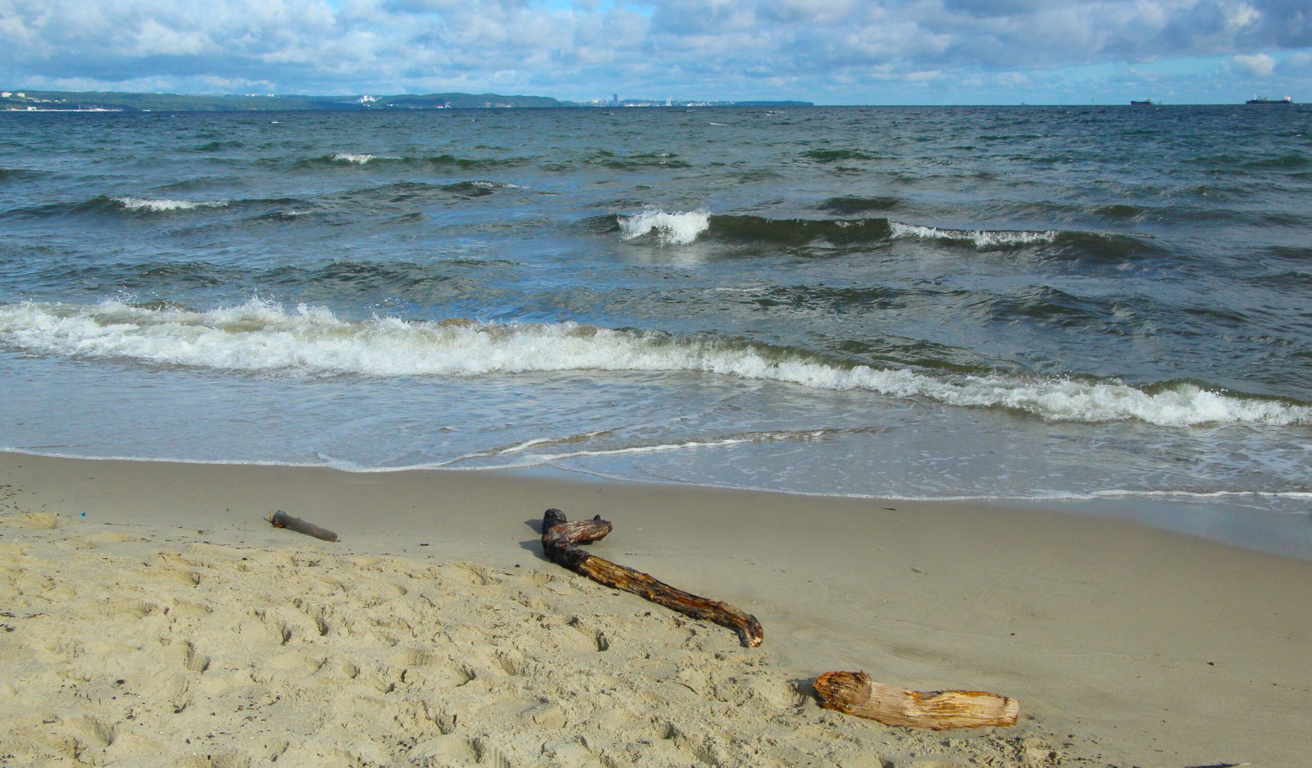 Relaxing beach scene with gentle waves and scattered driftwood under a partly cloudy sky.